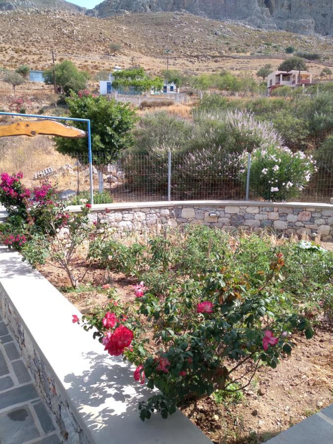 Villa Polymnia Emborios 外观 照片