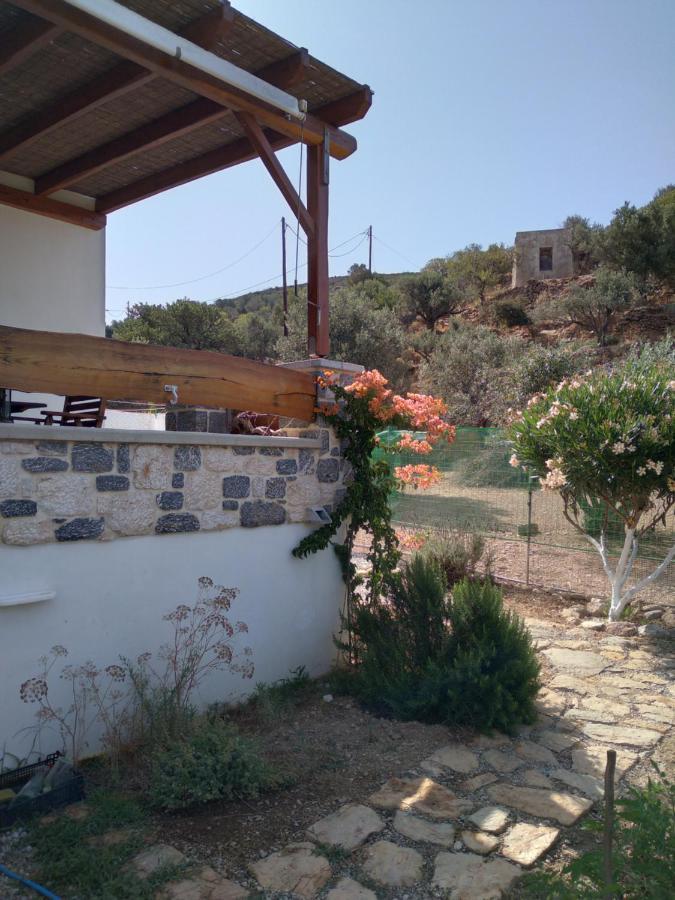 Villa Polymnia Emborios 外观 照片